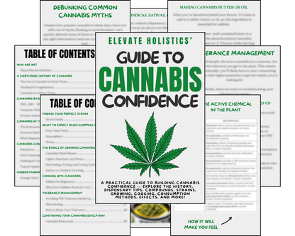 Ebook